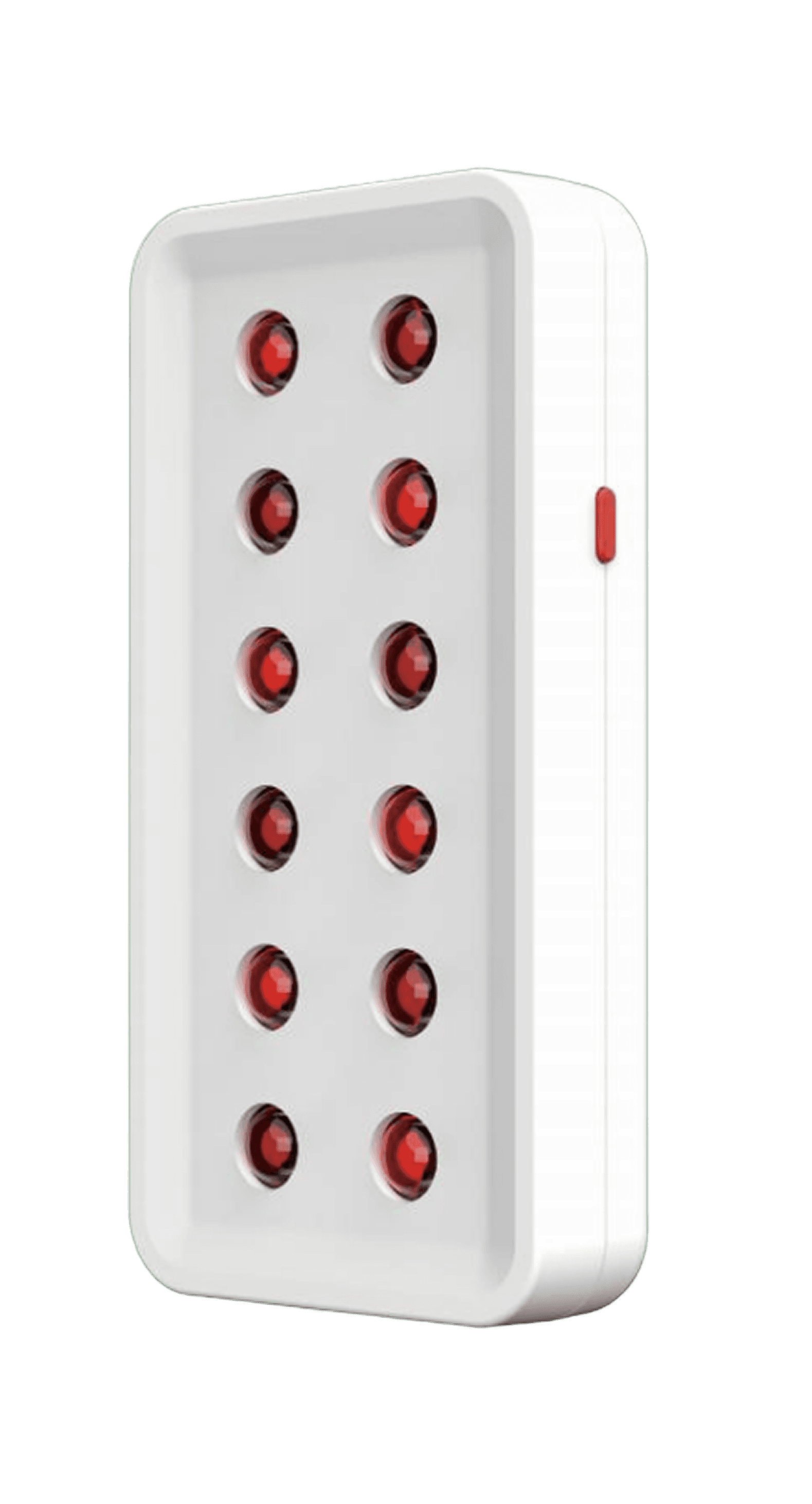 RDPRO MINI